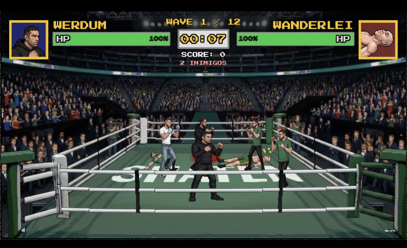 Werdum Fight